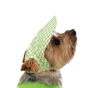 East Side Collection Gingham Dog Hat